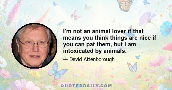 I'm not an animal lover if that means you think things are nice if you can pat them, but I am intoxicated by animals.