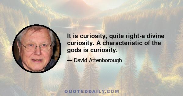 It is curiosity, quite right-a divine curiosity. A characteristic of the gods is curiosity.