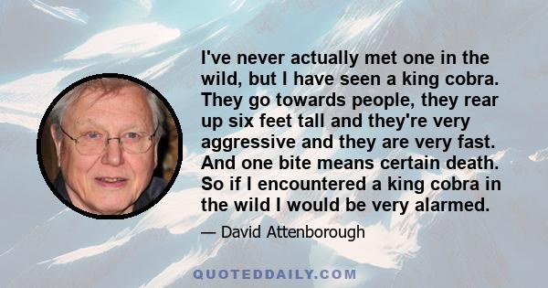 I've never actually met one in the wild, but I have seen a king cobra. They go towards people, they rear up six feet tall and they're very aggressive and they are very fast. And one bite means certain death. So if I