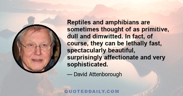 Reptiles and amphibians are sometimes thought of as primitive, dull and dimwitted. In fact, of course, they can be lethally fast, spectacularly beautiful, surprisingly affectionate and very sophisticated.