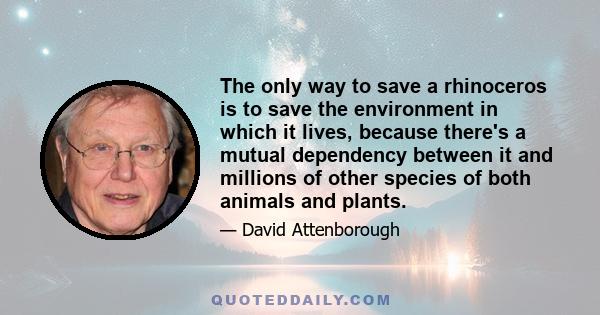 The only way to save a rhinoceros is to save the environment in which it lives, because there's a mutual dependency between it and millions of other species of both animals and plants.