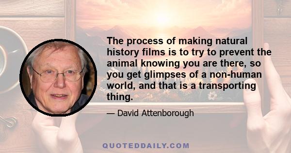 The process of making natural history films is to try to prevent the animal knowing you are there, so you get glimpses of a non-human world, and that is a transporting thing.