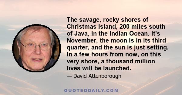 The savage, rocky shores of Christmas Island, 200 miles south of Java, in the Indian Ocean. It's November, the moon is in its third quarter, and the sun is just setting. In a few hours from now, on this very shore, a