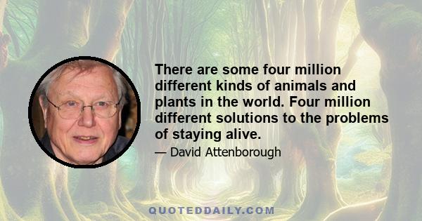 There are some four million different kinds of animals and plants in the world. Four million different solutions to the problems of staying alive.