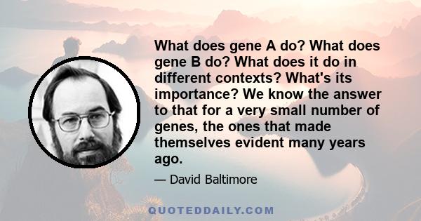 What does gene A do? What does gene B do? What does it do in different contexts? What's its importance? We know the answer to that for a very small number of genes, the ones that made themselves evident many years ago.