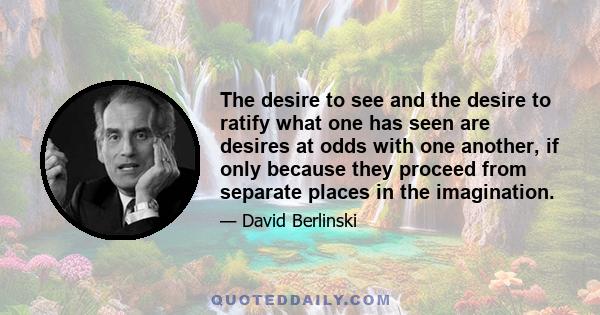 The desire to see and the desire to ratify what one has seen are desires at odds with one another, if only because they proceed from separate places in the imagination.