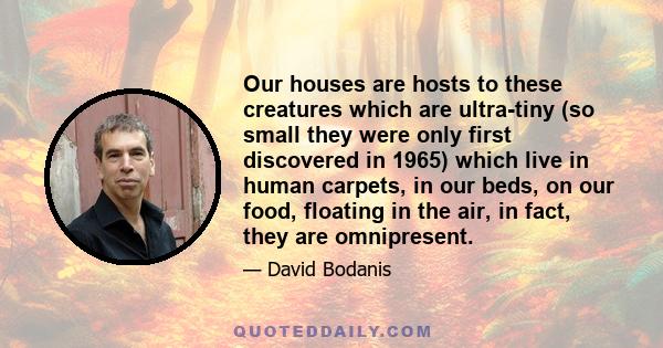 Our houses are hosts to these creatures which are ultra-tiny (so small they were only first discovered in 1965) which live in human carpets, in our beds, on our food, floating in the air, in fact, they are omnipresent.