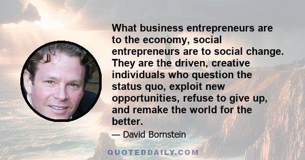 What business entrepreneurs are to the economy, social entrepreneurs are to social change. They are the driven, creative individuals who question the status quo, exploit new opportunities, refuse to give up, and remake