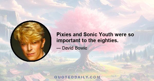 Pixies and Sonic Youth were so important to the eighties.