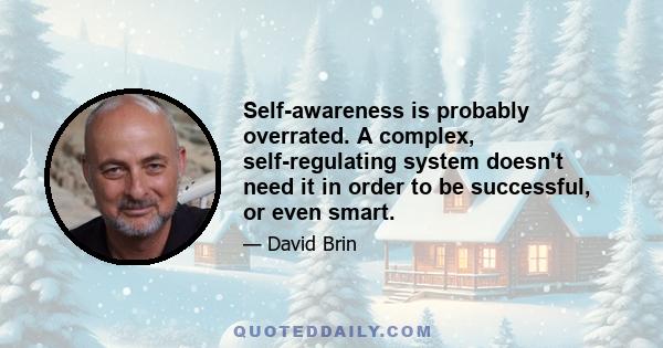 Self-awareness is probably overrated. A complex, self-regulating system doesn't need it in order to be successful, or even smart.