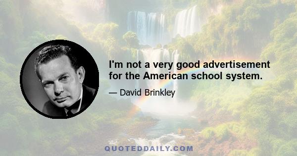 I'm not a very good advertisement for the American school system.