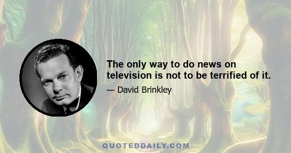 The only way to do news on television is not to be terrified of it.