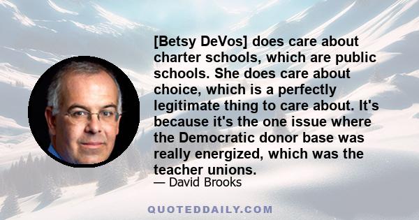 [Betsy DeVos] does care about charter schools, which are public schools. She does care about choice, which is a perfectly legitimate thing to care about. It's because it's the one issue where the Democratic donor base