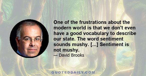 One of the frustrations about the modern world is that we don't even have a good vocabulary to describe our state. The word sentiment sounds mushy. [...] Sentiment is not mushy.