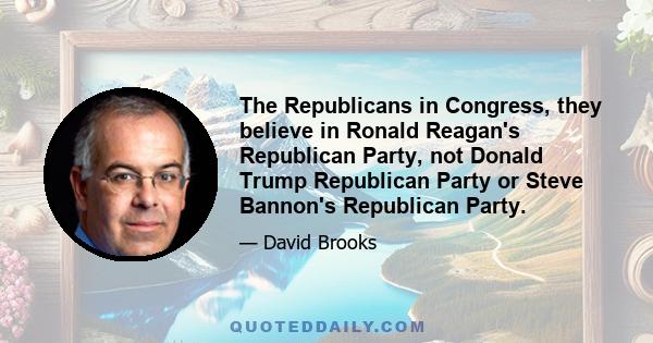 The Republicans in Congress, they believe in Ronald Reagan's Republican Party, not Donald Trump Republican Party or Steve Bannon's Republican Party.