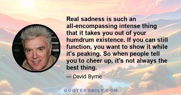 Real sadness is such an all-encompassing intense thing that it takes you out of your humdrum existence. If you can still function, you want to show it while it's peaking. So when people tell you to cheer up, it's not