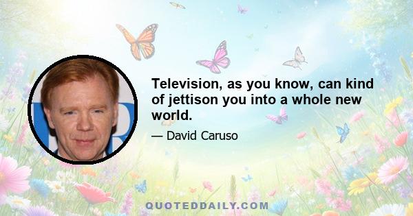 Television, as you know, can kind of jettison you into a whole new world.