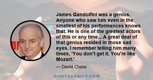 James Gandolfini was a genius. Anyone who saw him even in the smallest of his performances knows that. He is one of the greatest actors of this or any time... A great deal of that genius resided in those sad eyes. I