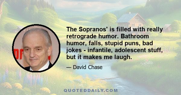 The Sopranos' is filled with really retrograde humor. Bathroom humor, falls, stupid puns, bad jokes - infantile, adolescent stuff, but it makes me laugh.