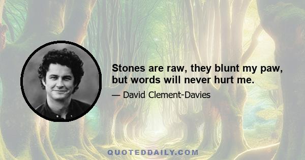 Stones are raw, they blunt my paw, but words will never hurt me.