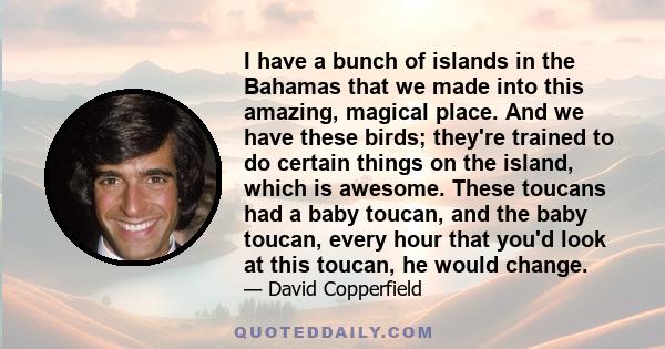 I have a bunch of islands in the Bahamas that we made into this amazing, magical place. And we have these birds; they're trained to do certain things on the island, which is awesome. These toucans had a baby toucan, and 