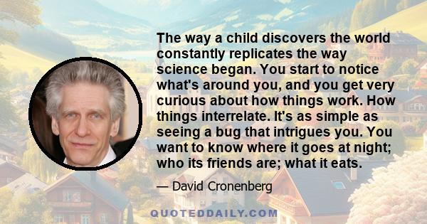 The way a child discovers the world constantly replicates the way science began. You start to notice what's around you, and you get very curious about how things work. How things interrelate. It's as simple as seeing a