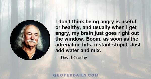 I don't think being angry is useful or healthy, and usually when I get angry, my brain just goes right out the window. Boom, as soon as the adrenaline hits, instant stupid. Just add water and mix.