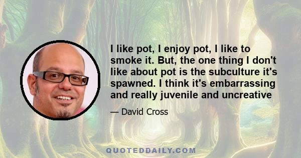 I like pot, I enjoy pot, I like to smoke it. But, the one thing I don't like about pot is the subculture it's spawned. I think it's embarrassing and really juvenile and uncreative