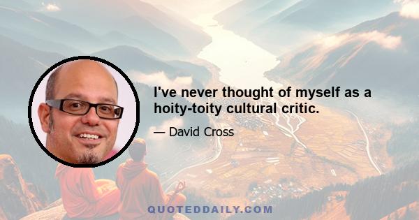 I've never thought of myself as a hoity-toity cultural critic.