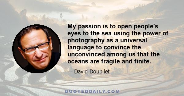 My passion is to open people's eyes to the sea using the power of photography as a universal language to convince the unconvinced among us that the oceans are fragile and finite.