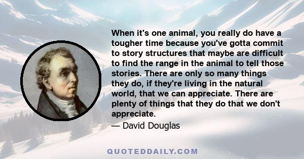 When it's one animal, you really do have a tougher time because you've gotta commit to story structures that maybe are difficult to find the range in the animal to tell those stories. There are only so many things they