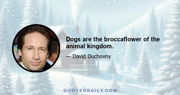 Dogs are the broccaflower of the animal kingdom.