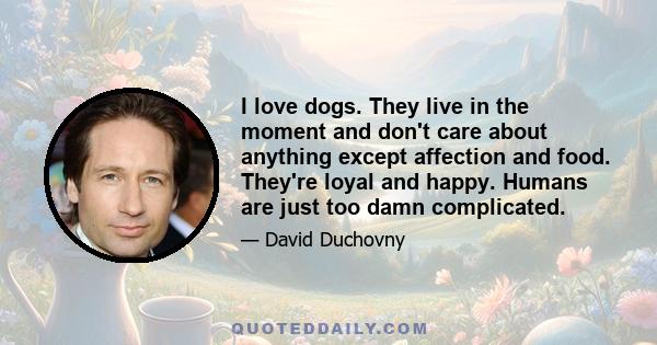 I love dogs. They live in the moment and don't care about anything except affection and food. They're loyal and happy. Humans are just too damn complicated.