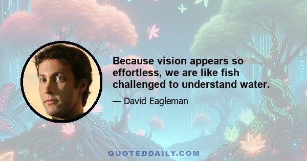 Because vision appears so effortless, we are like fish challenged to understand water.