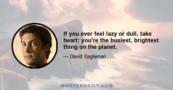 If you ever feel lazy or dull, take heart: you're the busiest, brightest thing on the planet.