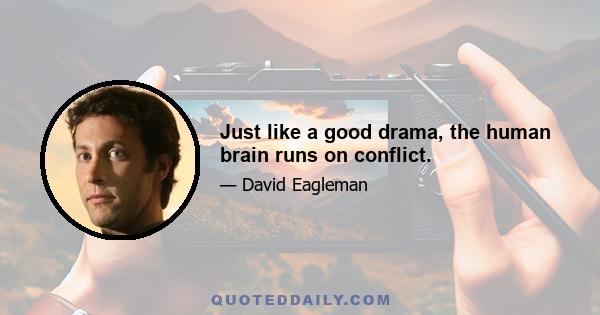 Just like a good drama, the human brain runs on conflict.