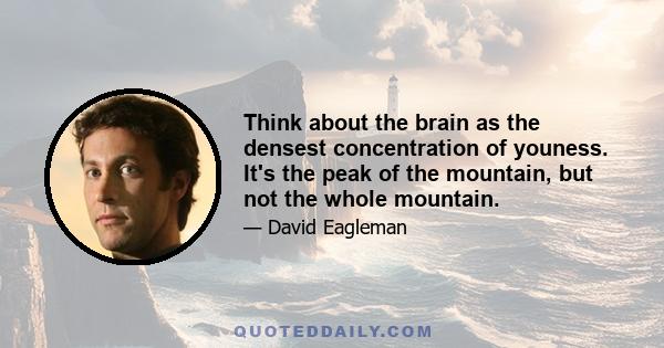 Think about the brain as the densest concentration of youness. It's the peak of the mountain, but not the whole mountain.