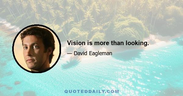 Vision is more than looking.