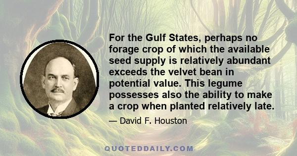 For the Gulf States, perhaps no forage crop of which the available seed supply is relatively abundant exceeds the velvet bean in potential value. This legume possesses also the ability to make a crop when planted