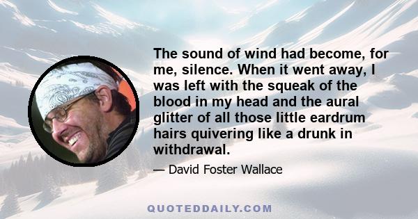 The sound of wind had become, for me, silence. When it went away, I was left with the squeak of the blood in my head and the aural glitter of all those little eardrum hairs quivering like a drunk in withdrawal.