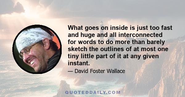 What goes on inside is just too fast and huge and all interconnected for words to do more than barely sketch the outlines of at most one tiny little part of it at any given instant.