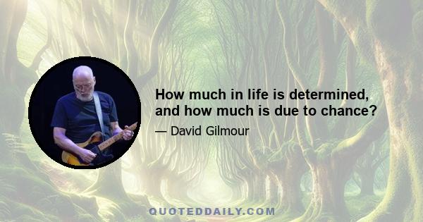 How much in life is determined, and how much is due to chance?