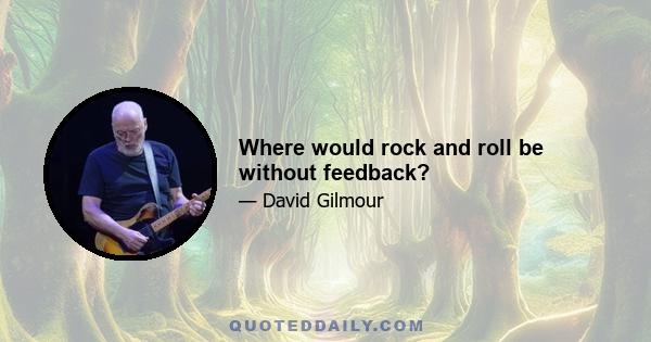 Where would rock and roll be without feedback?