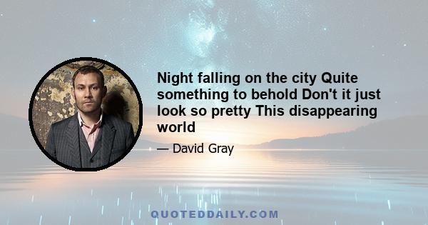 Night falling on the city Quite something to behold Don't it just look so pretty This disappearing world