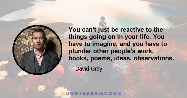 You can't just be reactive to the things going on in your life. You have to imagine, and you have to plunder other people's work, books, poems, ideas, observations.