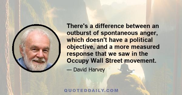 There's a difference between an outburst of spontaneous anger, which doesn't have a political objective, and a more measured response that we saw in the Occupy Wall Street movement.