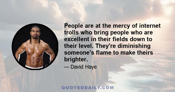 People are at the mercy of internet trolls who bring people who are excellent in their fields down to their level. They're diminishing someone's flame to make theirs brighter.