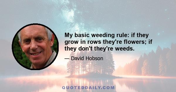 My basic weeding rule: if they grow in rows they're flowers; if they don't they're weeds.