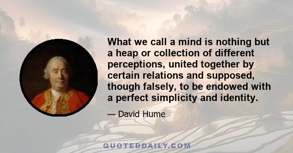 What we call a mind is nothing but a heap or collection of different perceptions, united together by certain relations and supposed, though falsely, to be endowed with a perfect simplicity and identity.