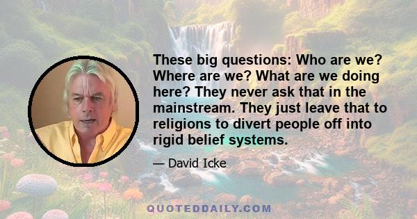 These big questions: Who are we? Where are we? What are we doing here? They never ask that in the mainstream. They just leave that to religions to divert people off into rigid belief systems.